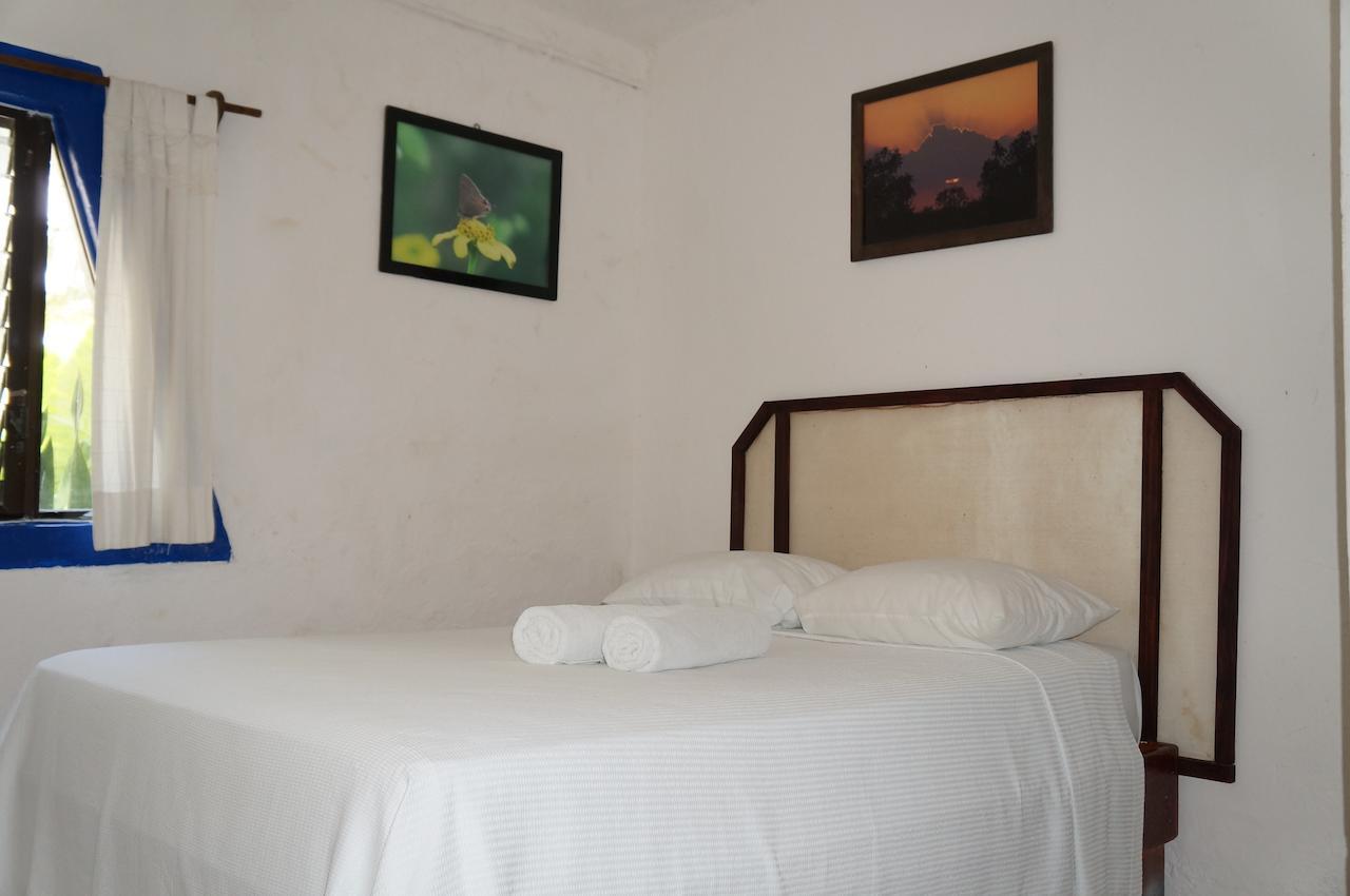 Posada Amor Hotel Boutique Пуэрто-Морелос Экстерьер фото