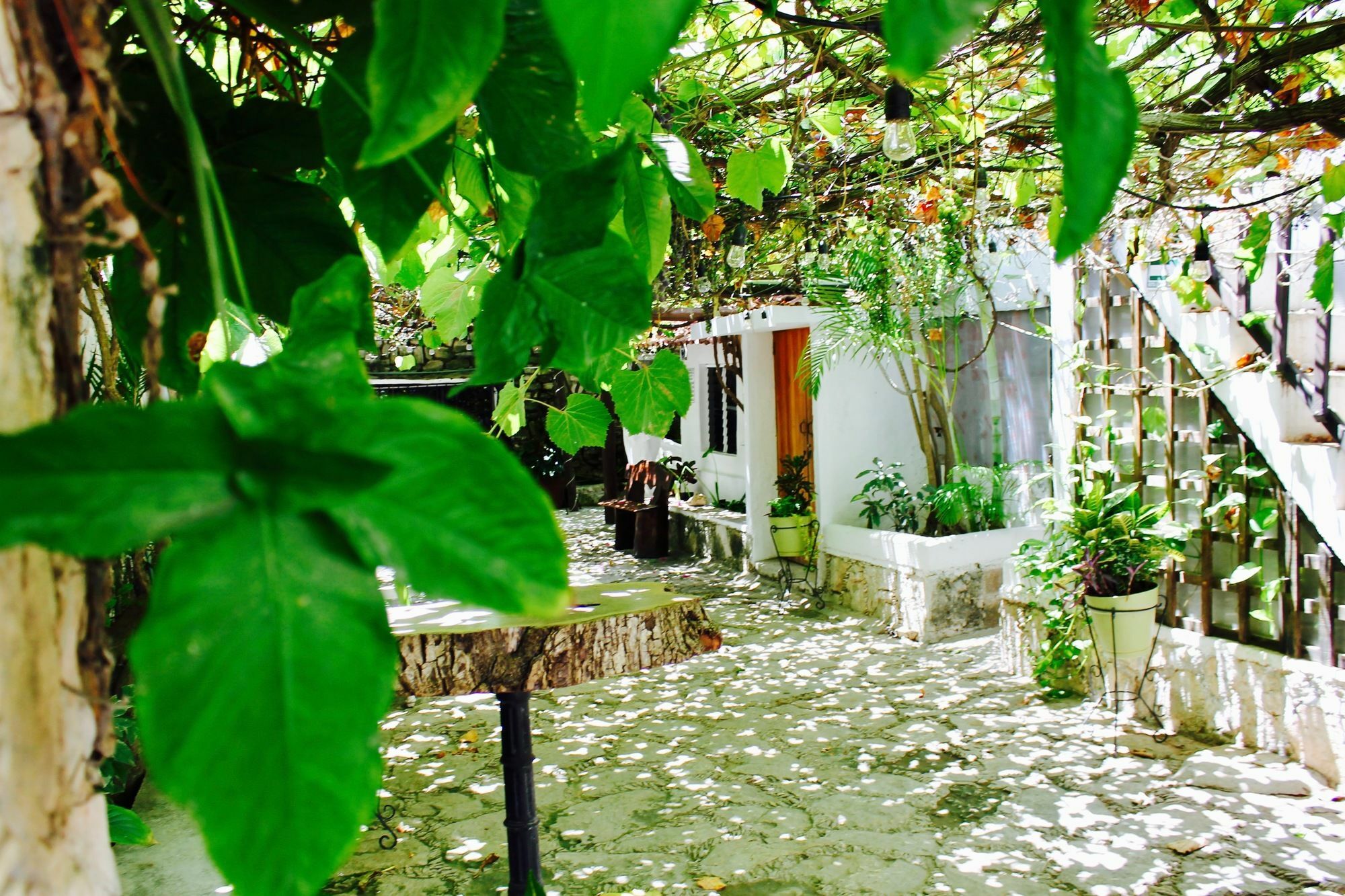 Posada Amor Hotel Boutique Пуэрто-Морелос Экстерьер фото