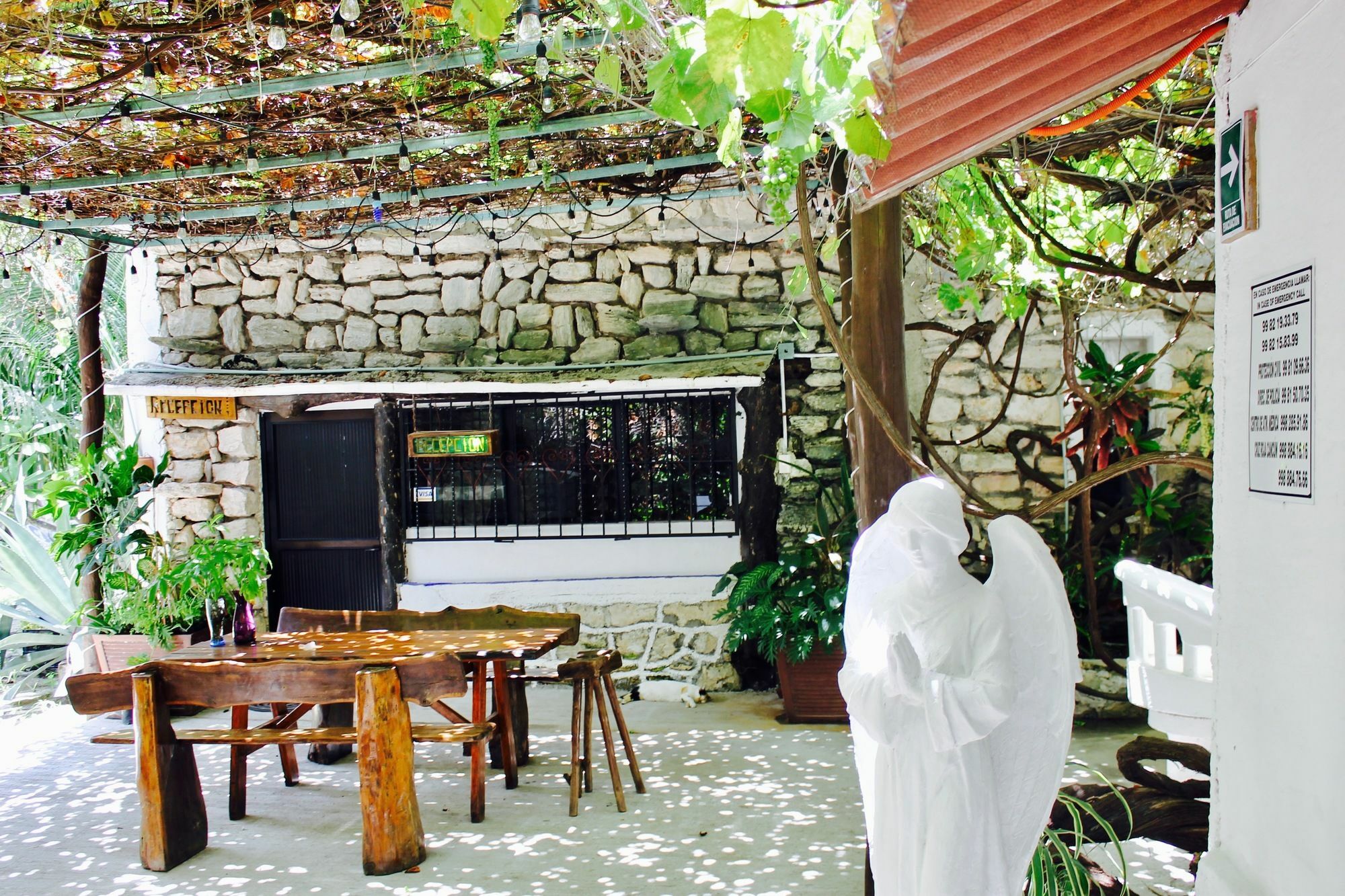 Posada Amor Hotel Boutique Пуэрто-Морелос Экстерьер фото